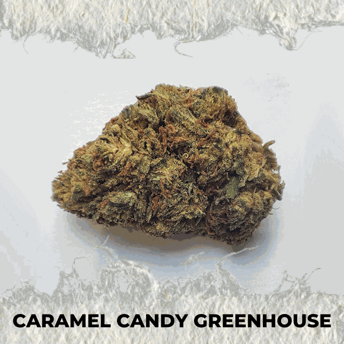 Close-up of Caramel Candy Greenhouse cannabis bud showcasing its premium quality and earthy texture.