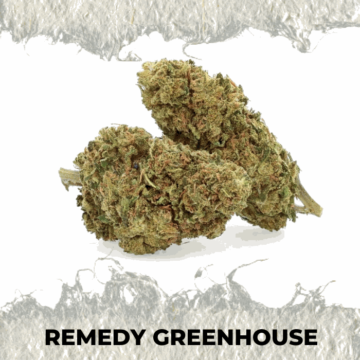 Remedy Greenhouse premium hemp flower with balanced herbal and sweet notes, showcasing quality and freshness.