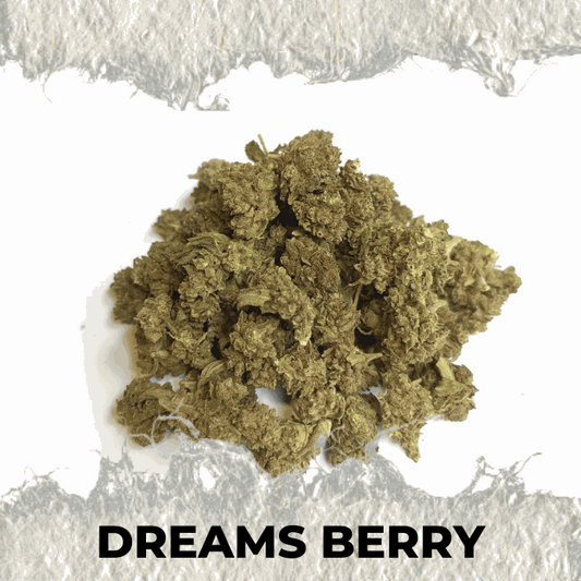 Dream Berry cannabis strain with a unique fruity aroma and relaxing experience, featuring lush green buds.