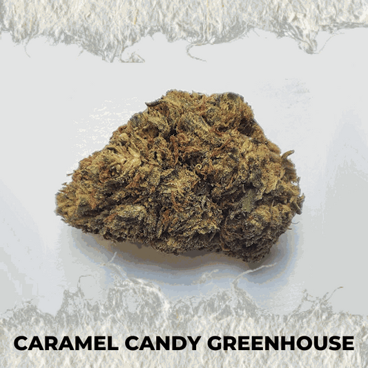 Close-up of Caramel Candy Greenhouse cannabis bud showcasing its premium quality and earthy texture.