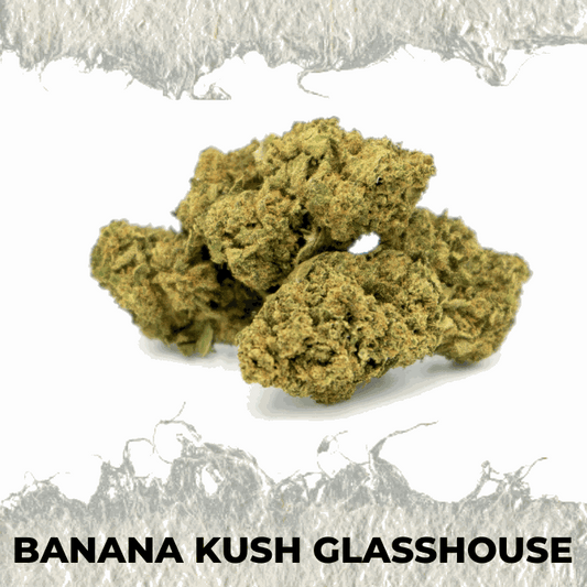 Banana Kush CBD flower, premium hemp strain with sweet tropical aroma, perfect for enthusiasts and beginners.