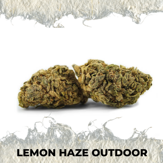 Lemon Haze Outdoor - SUPERCBD