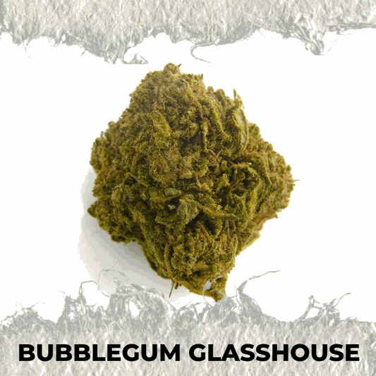 Premium Bubblegum Glasshouse CBD cannabis bud with a vibrant green color and fluffy texture.