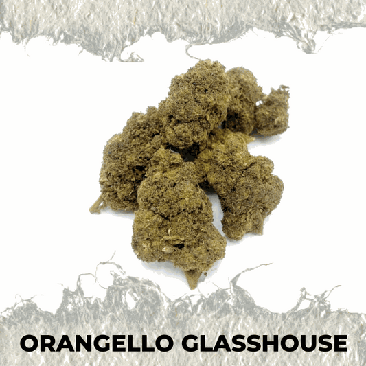 Orangello Glasshouse premium CBD hemp flower with dense buds showcasing a rich, earthy appearance.