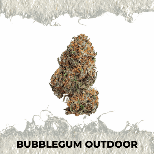 Bubblegum Outdoor